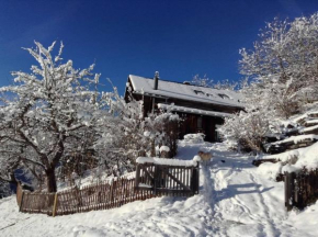 Gstaad Paradise View Chalet with Jacuzzi
